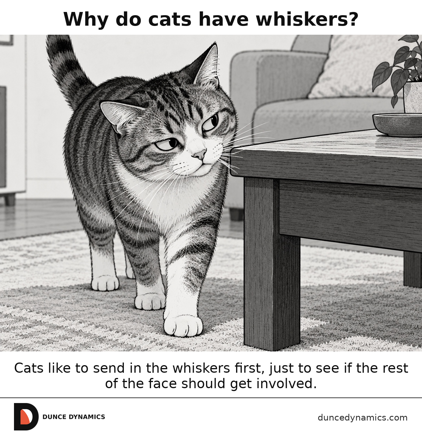 A cat walks past a low table as several whiskers brush the table edge before its face reaches the corner.