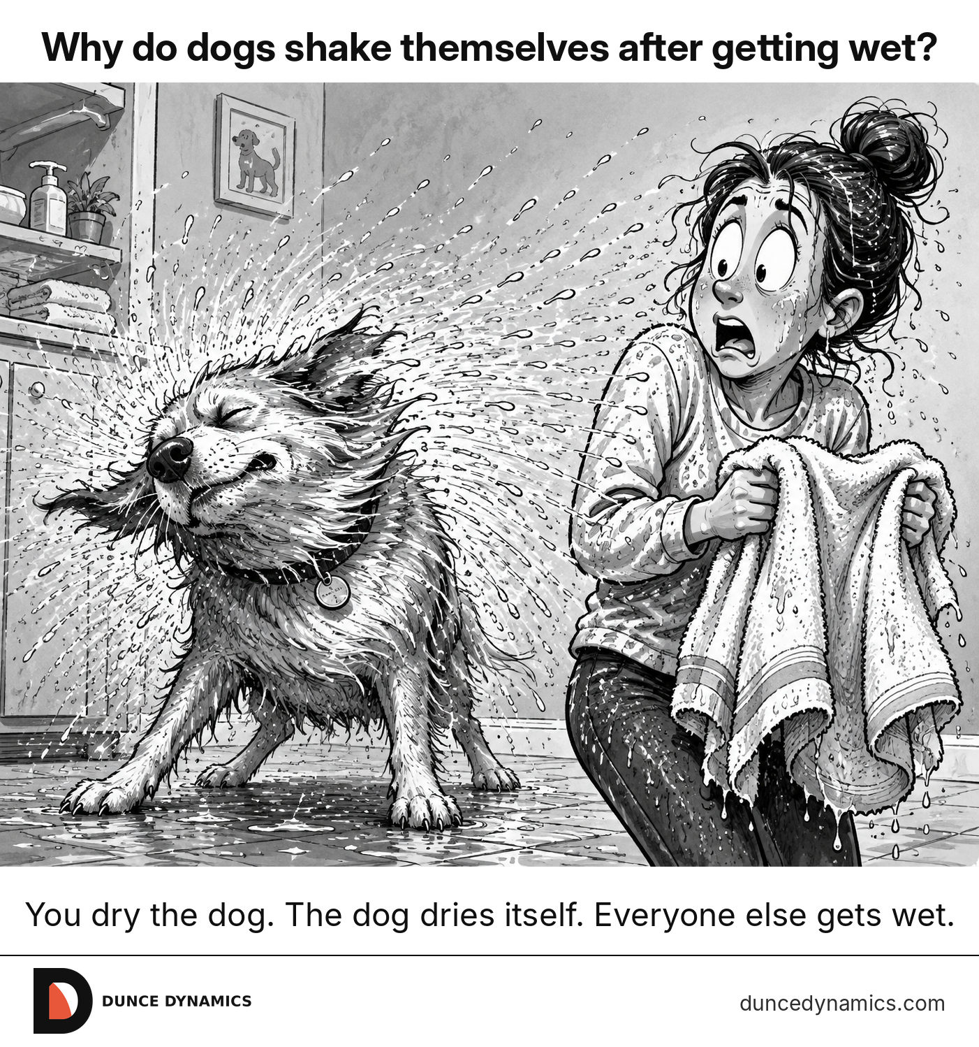 Black-and-white comic of a soaked dog shaking water in every direction beside a startled person holding a towel.