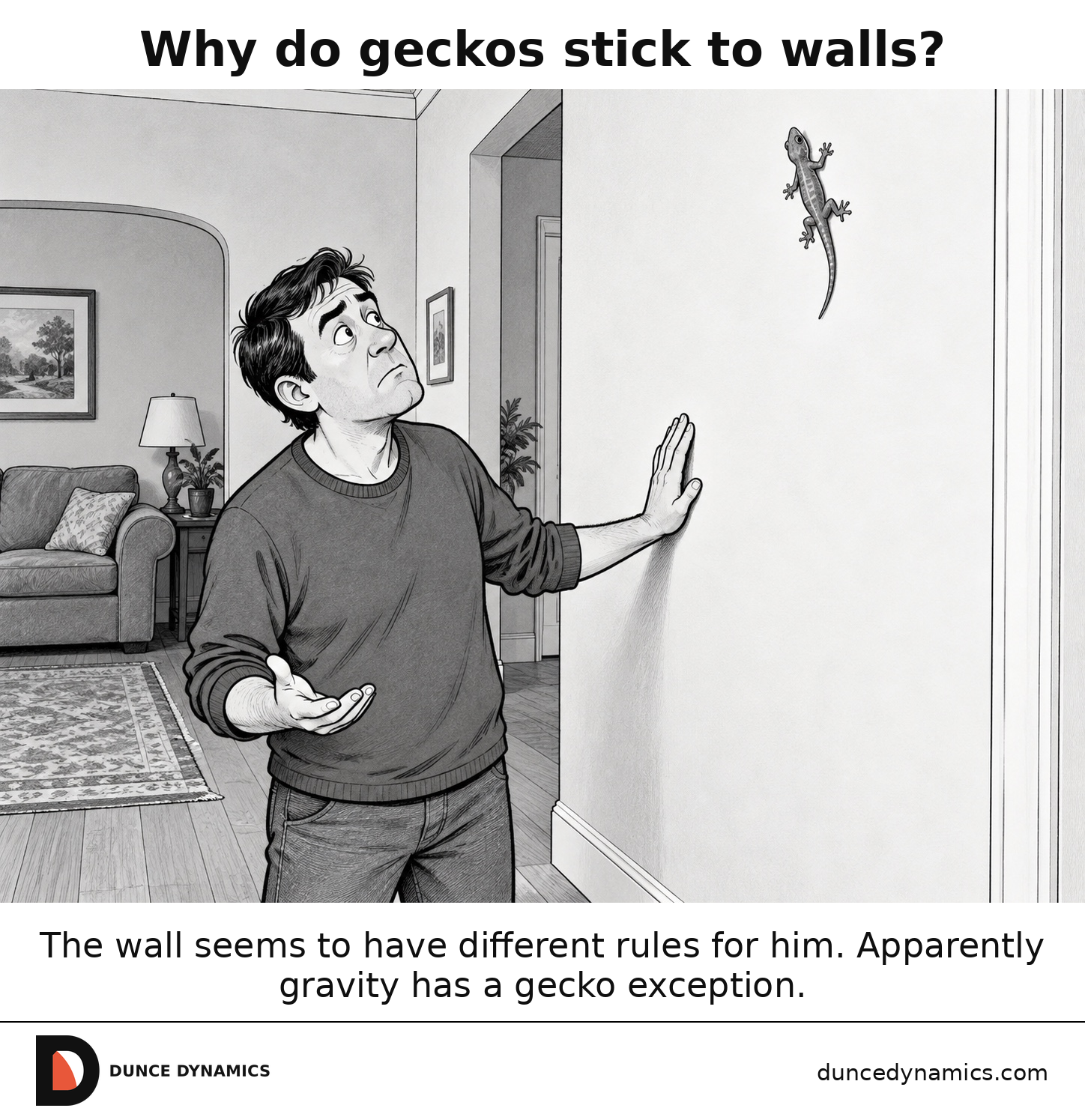 Editorial cartoon of a puzzled adult looking up at a gecko clinging to a smooth wall in a living room.