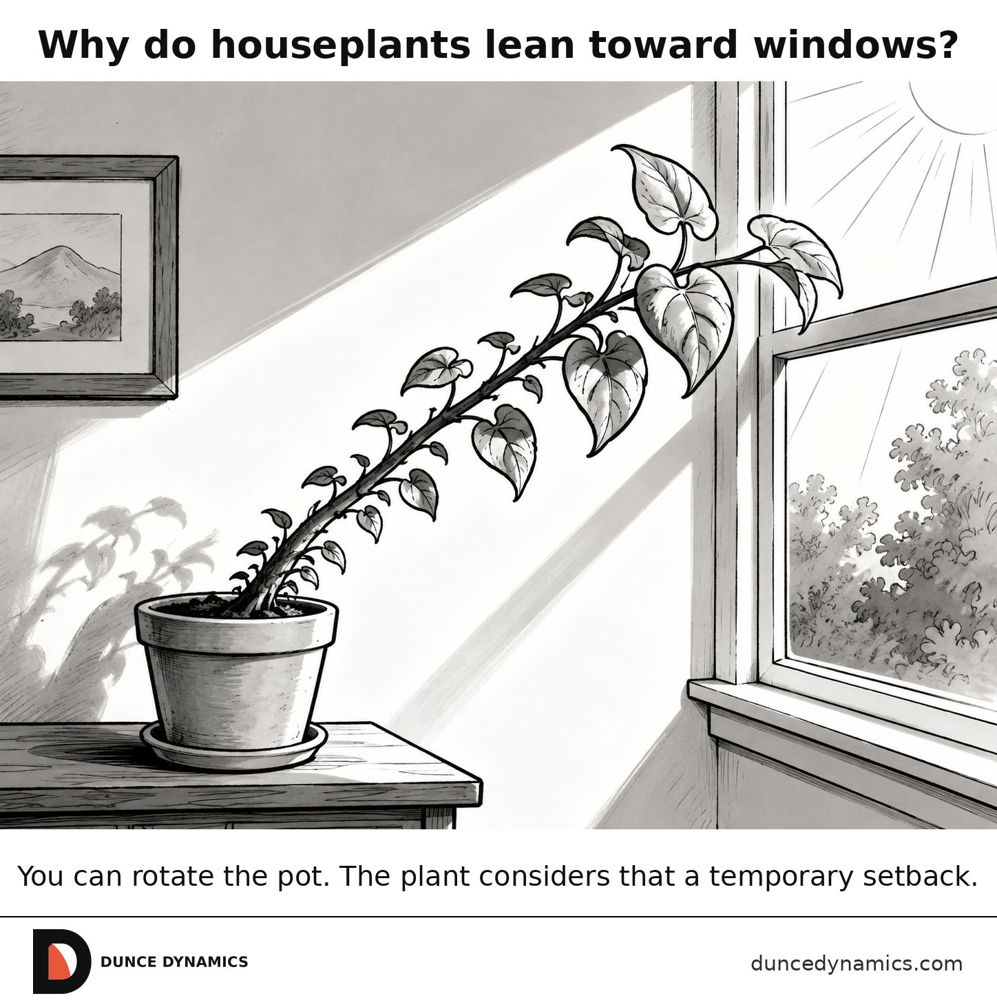 Black-and-white comic of a potted houseplant bending dramatically toward sunlight coming through a nearby window.
